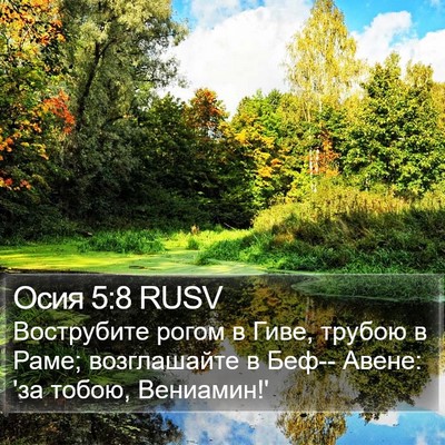 Осия 5:8 RUSV Bible Verse Image
