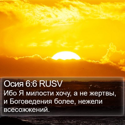 Осия 6:6 RUSV Bible Verse Image