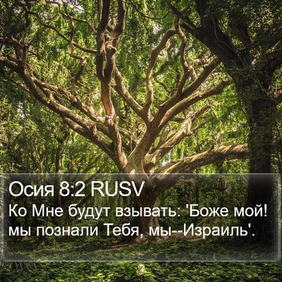 Осия 8:2 RUSV Bible Verse Image