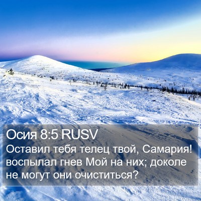 Осия 8:5 RUSV Bible Verse Image