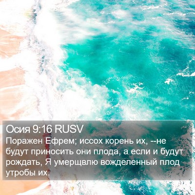 Осия 9:16 RUSV Bible Verse Image