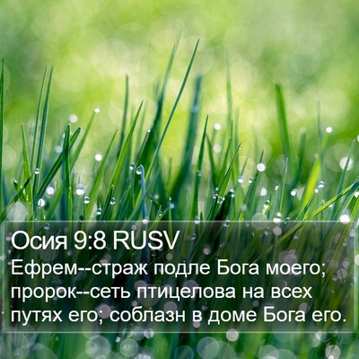 Осия 9:8 RUSV Bible Verse Image