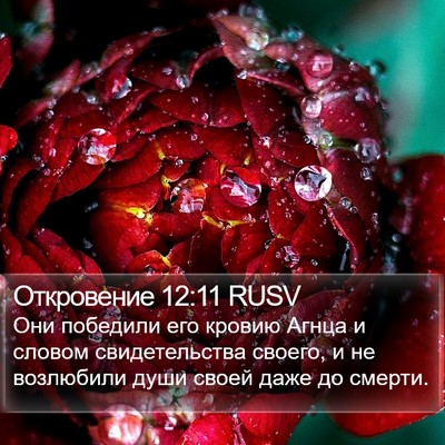 Откровение 12:11 RUSV Bible Verse Image