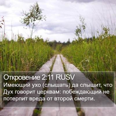 Откровение 2:11 RUSV Bible Verse Image
