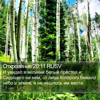 Откровение 20:11 RUSV Bible Verse Image