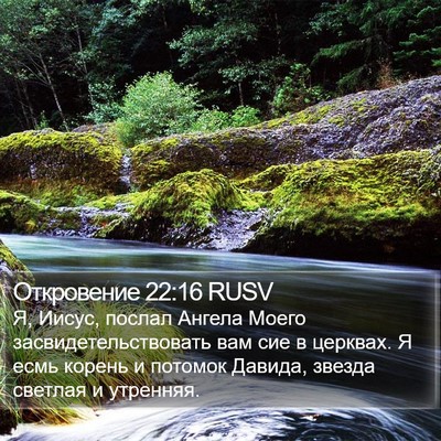 Откровение 22:16 RUSV Bible Verse Image