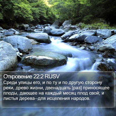 Откровение 22:2 RUSV Bible Verse Image