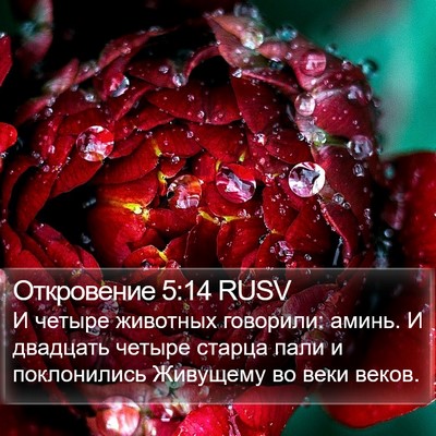 Откровение 5:14 RUSV Bible Verse Image