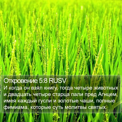 Откровение 5:8 RUSV Bible Verse Image