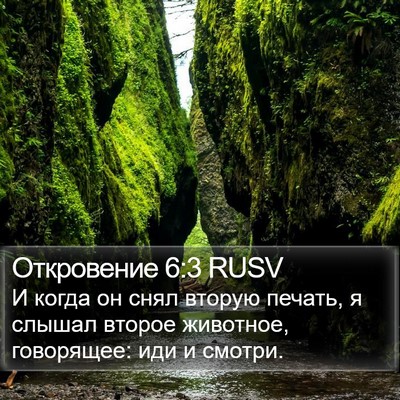 Откровение 6:3 RUSV Bible Verse Image