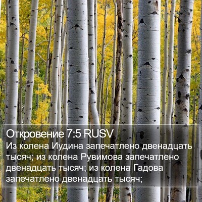 Откровение 7:5 RUSV Bible Verse Image
