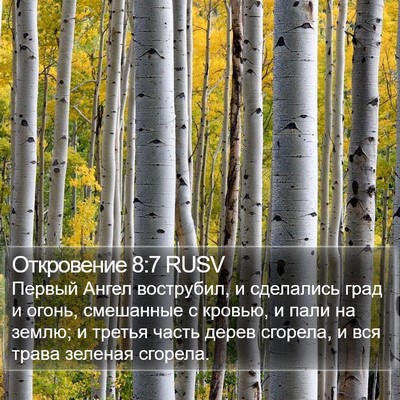 Откровение 8:7 RUSV Bible Verse Image