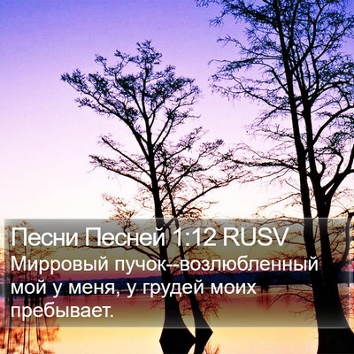 Песни Песней 1:12 RUSV Bible Verse Image
