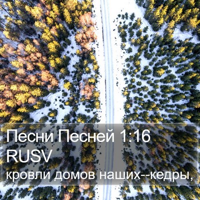 Песни Песней 1:16 RUSV Bible Verse Image