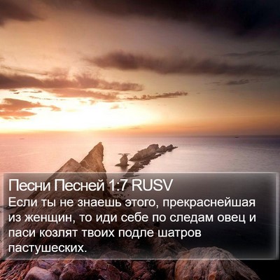 Песни Песней 1:7 RUSV Bible Verse Image