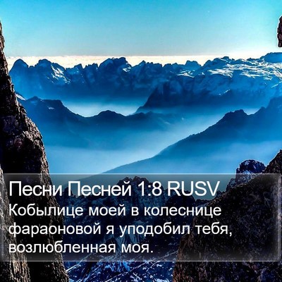 Песни Песней 1:8 RUSV Bible Verse Image