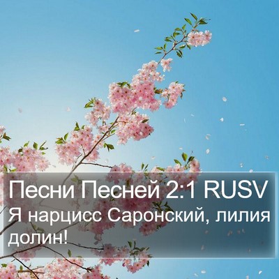 Песни Песней 2:1 RUSV Bible Verse Image