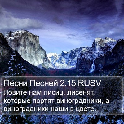 Песни Песней 2:15 RUSV Bible Verse Image