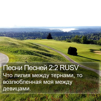 Песни Песней 2:2 RUSV Bible Verse Image