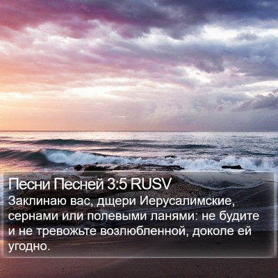 Песни Песней 3:5 RUSV Bible Verse Image
