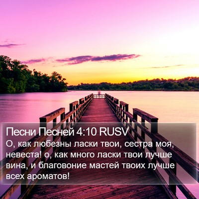 Песни Песней 4:10 RUSV Bible Verse Image