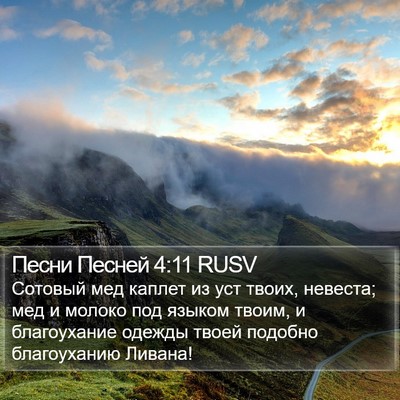 Песни Песней 4:11 RUSV Bible Verse Image