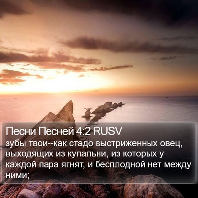 Песни Песней 4:2 RUSV Bible Verse Image