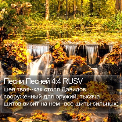 Песни Песней 4:4 RUSV Bible Verse Image