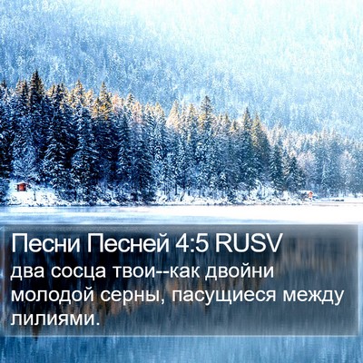 Песни Песней 4:5 RUSV Bible Verse Image