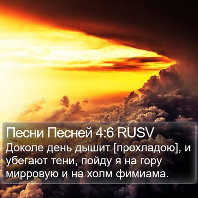 Песни Песней 4:6 RUSV Bible Verse Image