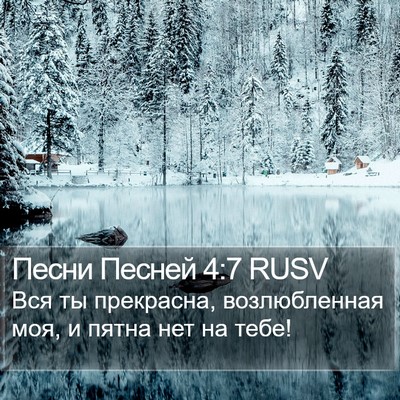 Песни Песней 4:7 RUSV Bible Verse Image