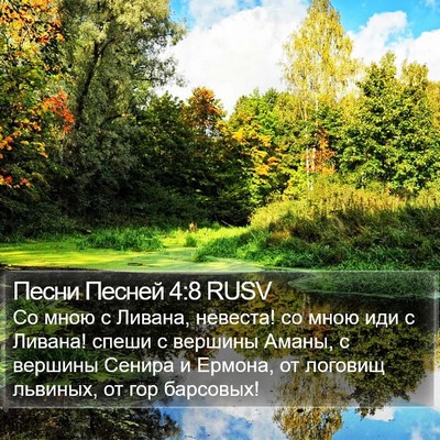 Песни Песней 4:8 RUSV Bible Verse Image