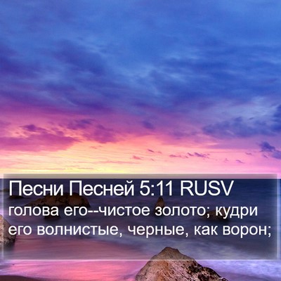 Песни Песней 5:11 RUSV Bible Verse Image
