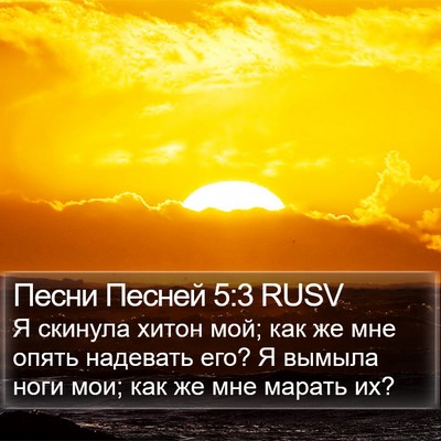 Песни Песней 5:3 RUSV Bible Verse Image
