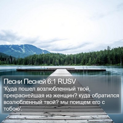 Песни Песней 6:1 RUSV Bible Verse Image