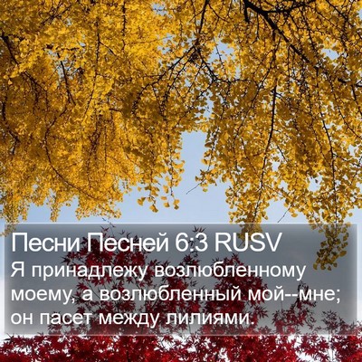 Песни Песней 6:3 RUSV Bible Verse Image