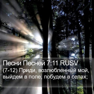 Песни Песней 7:11 RUSV Bible Verse Image