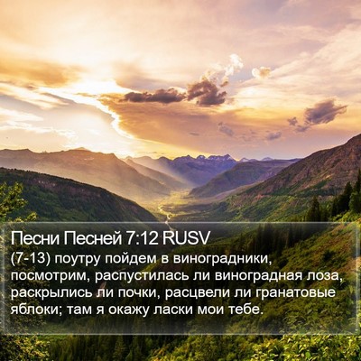 Песни Песней 7:12 RUSV Bible Verse Image