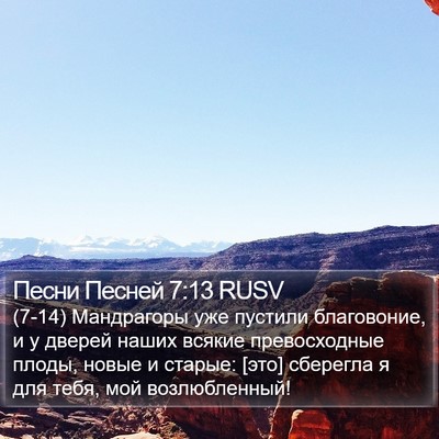 Песни Песней 7:13 RUSV Bible Verse Image
