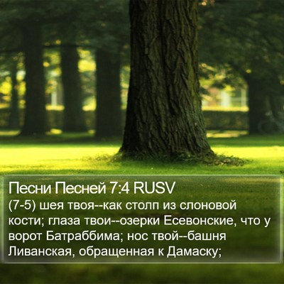 Песни Песней 7:4 RUSV Bible Verse Image