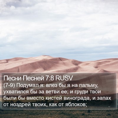 Песни Песней 7:8 RUSV Bible Verse Image