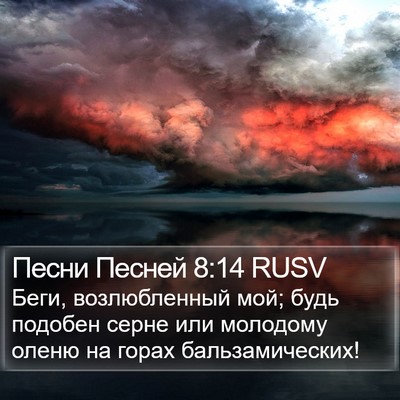 Песни Песней 8:14 RUSV Bible Verse Image