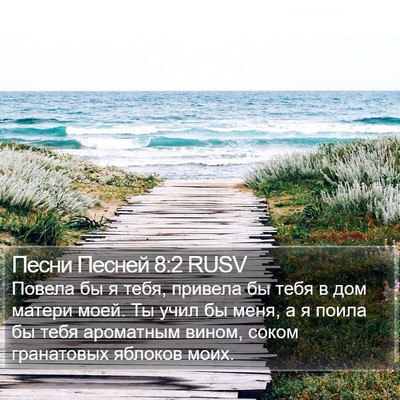 Песни Песней 8:2 RUSV Bible Verse Image