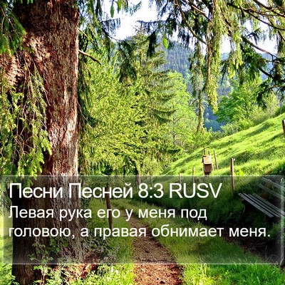 Песни Песней 8:3 RUSV Bible Verse Image