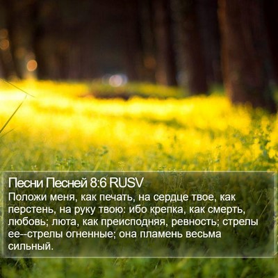Песни Песней 8:6 RUSV Bible Verse Image