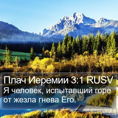 Плач Иеремии 3:1 RUSV Bible Verse Image
