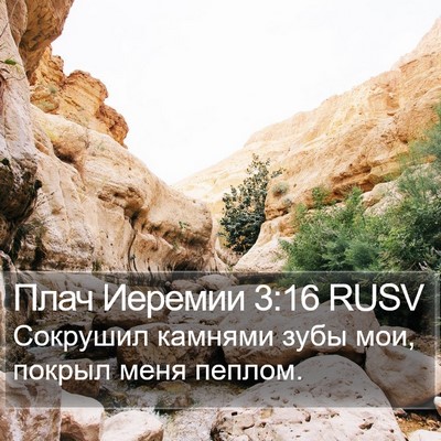 Плач Иеремии 3:16 RUSV Bible Verse Image