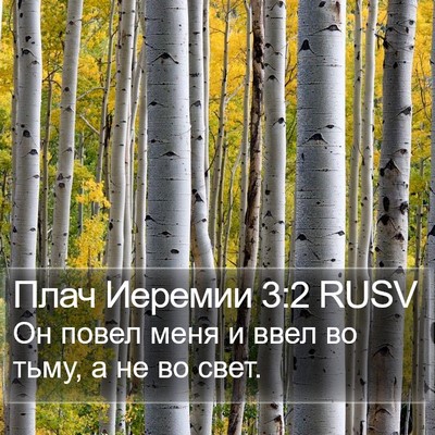 Плач Иеремии 3:2 RUSV Bible Verse Image