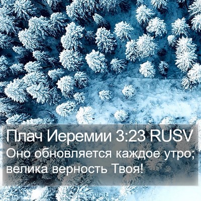 Плач Иеремии 3:23 RUSV Bible Verse Image