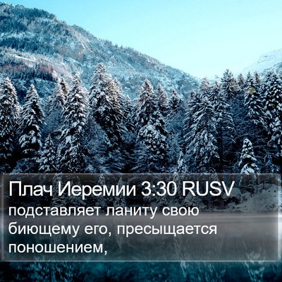 Плач Иеремии 3:30 RUSV Bible Verse Image